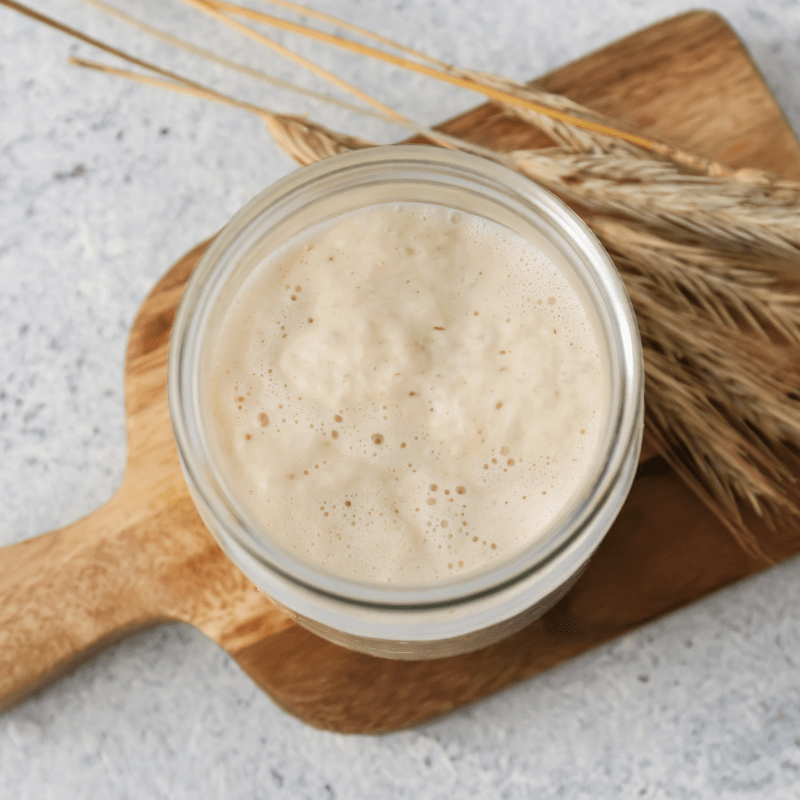 Sourdough Maintenance Guide & Bonus Sweet Potato Flatbread Recipe